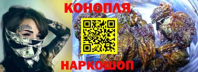 хмурый Тула