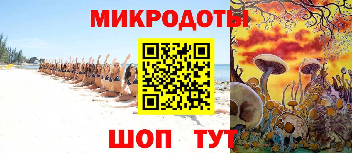 Псилоцибиновые грибы Cubensis Нижнекамск