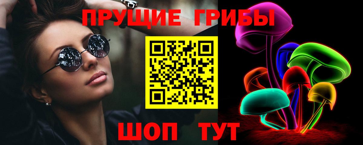 Нижнекамск  Галлюциногенные грибы Psilocybine cubensis  Вход с VPN 